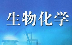 PA官方平台