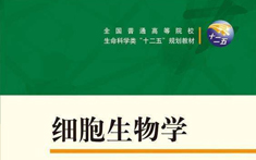 PA官方平台