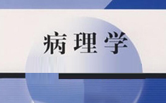 PA官方平台