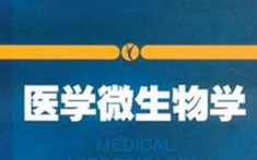 PA官方平台