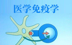 PA官方平台