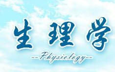 PA官方平台