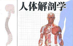 PA官方平台