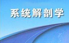 PA官方平台