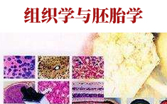 PA官方平台