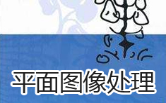 PA官方平台