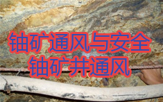 PA官方平台