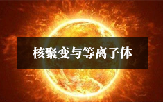 PA官方平台